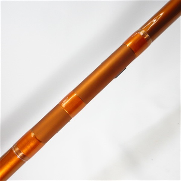 ２０キャスティズム２５－３８５
